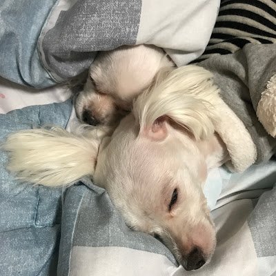 dopamin12455's profile picture. 