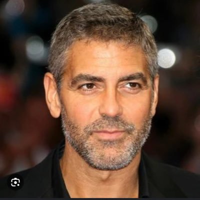 dogusballi's profile picture. o9p