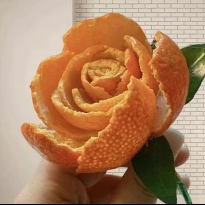 Fios_Bn's profile picture. 