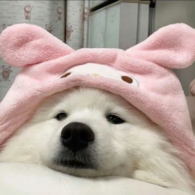 Pool2846's profile picture. 