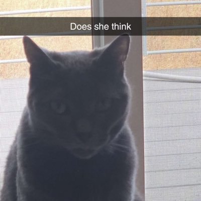 TheN3rdyBird's profile picture. PBP, Color, Analysis, and Host for Overwatch, Rocket League, and Valorant. Discord N3rdyBird or email artirainn@gmail.com for inquires opinions are my own