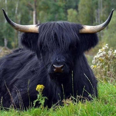 toglgd's profile picture. Learning the art of game engine creation. This profile is dedicated to sharing my progress, struggles, and successes.