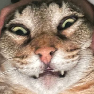 ffduple's profile picture. 