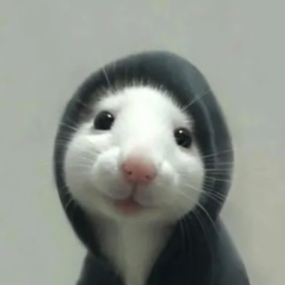 ratthewonbase's profile picture. 0xCcB00Cb269a62dc0c2021c3D699A564e8A868f48
Watch out Fake Telegram! ! ! !Real Official Telegram Below