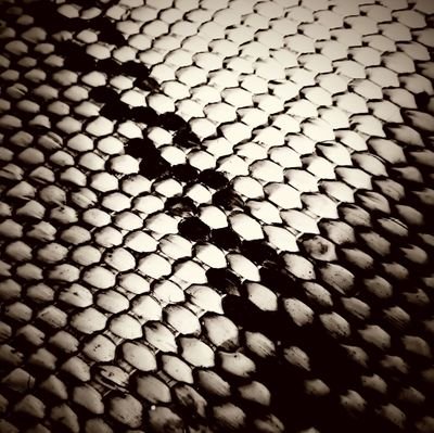 Axam4la11's profile picture. 