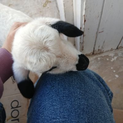 etungugonca's profile picture. 0