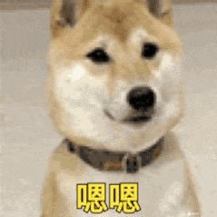 wuyusheshe's profile picture. 