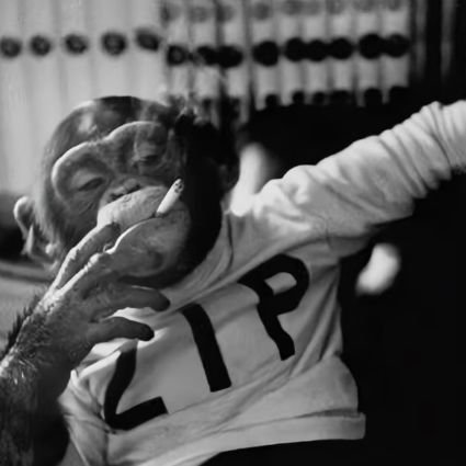 natty_satty's profile picture. crab-eating macaque, fiscal liberal