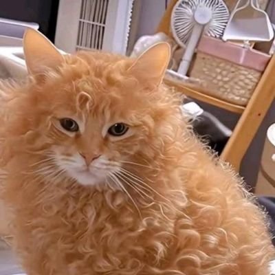 moniquex1989's profile picture. 