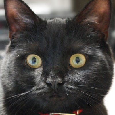 k2takeda's profile picture. 