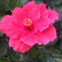 Howard Pearce - @LavenderVC - Twitter