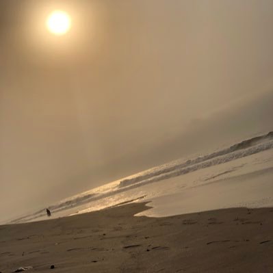 allergky's profile picture. Walk with God