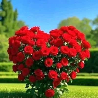 AbLimar777's profile picture. 