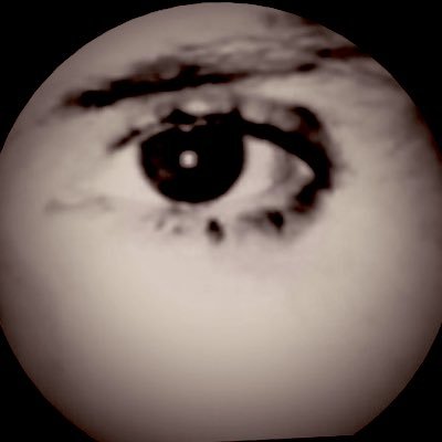 v_bavaria's profile picture. 