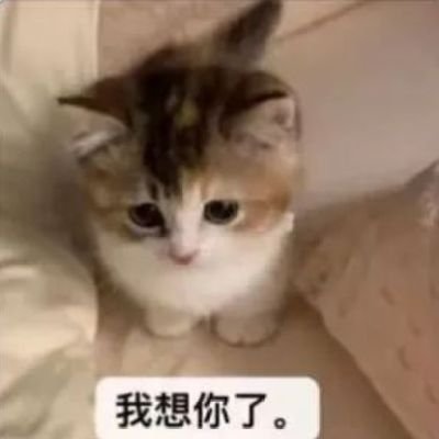 XiaoMei76447's profile picture. 勿扰模式