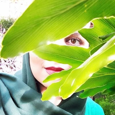 Shaziman897's profile picture. گلدوزِ گلدوست🌺🧵
بسیار منشن دهنده :)