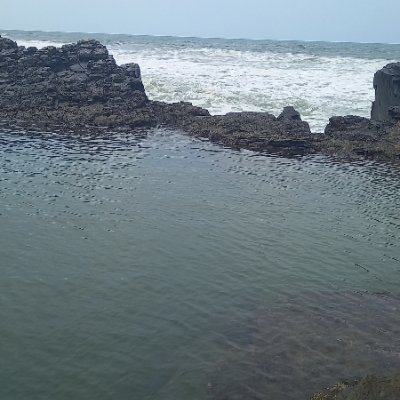 ShaneR79977771's profile picture. Indian Guy dbn