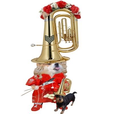 NAFOfellaLotte's profile picture.
