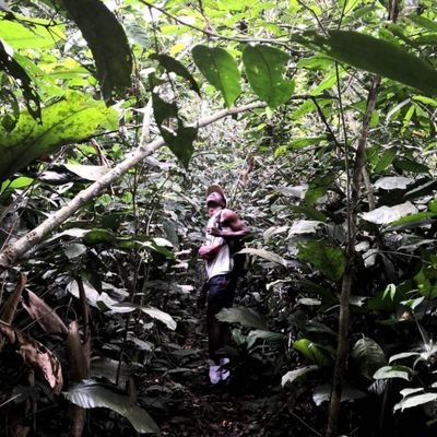 bakhary1's profile picture. Fraîchement nommé membre de la « nouvelle armée française ». Grand adepte de la 3e loi de Newton