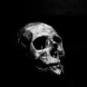 cybercraze2006's profile picture. I Keep forgetting da DAMN syntax !!