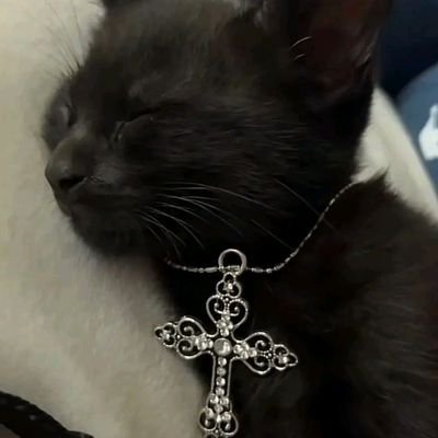 blezxo's profile picture. Playing For ?
🇲🇽
top 5 champs codm 25'