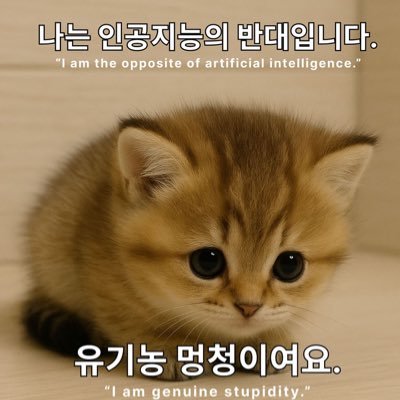 _Russulaemetica's profile picture. メイン (@TSFR_QE)