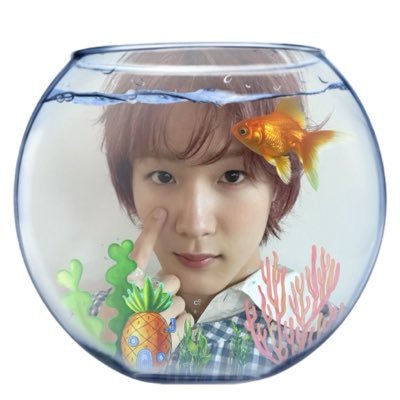 khxsia's profile picture. live in paris ദ്ദി ˉ͈̀꒳ˉ͈́ )✧