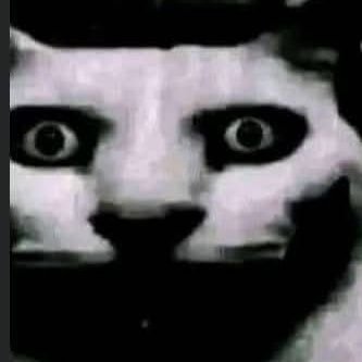 Akektsumi's profile picture. Osumania mapper