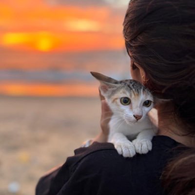 Meooow110's profile picture. I am just here to retweet