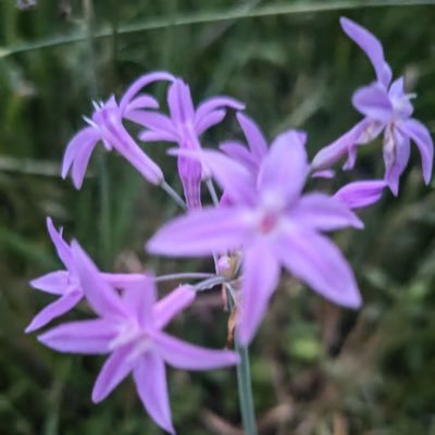 luotuo51370's profile picture. 发帖仅为记录币圈感悟！遵循：顺势而为，灵活变通。专注现货，专注囤币。币圈的贫富差距就是：信息差，认知差！拼的就是，谁能看得远，看的准，能坚持，敢重仓！