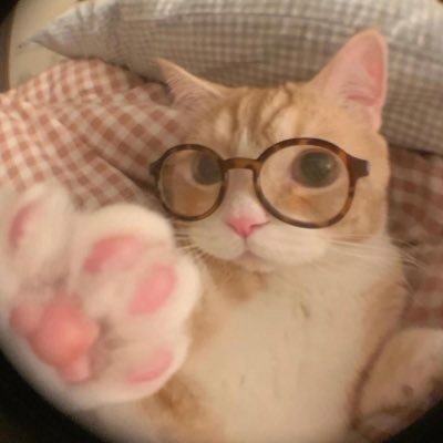 peachgradient's profile picture. 