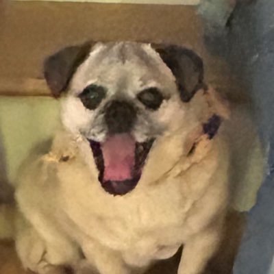 SPKelly31's profile picture. 