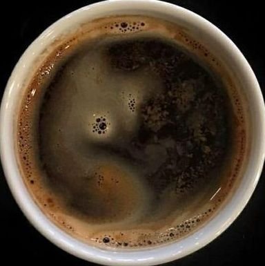 kaskroutkafteji's profile picture. safe space