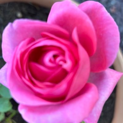 gracelandqueen's profile picture. This account is retired 😁 New account over @jesusisimmanuel please follow 😁