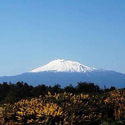 Pi3Xoul's profile picture. Me importa más el bienestar de las personas que el mío mismo. orgulloso de mi bandera 😍 de mi escudo y mi patria .