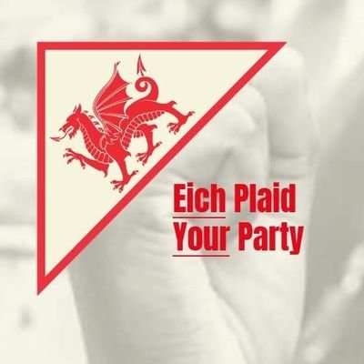 YourPartyCymru's profile picture.