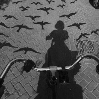 Ra27672's profile picture. 