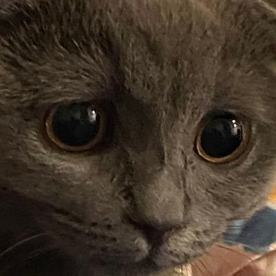 TensaiBass's profile picture. 