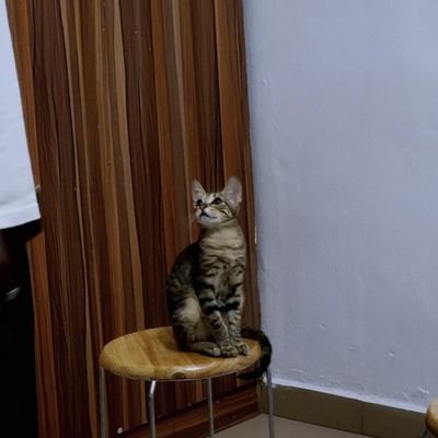 Trooperr_50's profile picture. Nons Non Timent Mortem(Spanish for I don't even know, mehnn)