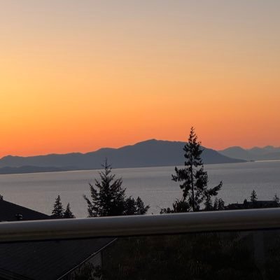 doggarden24's profile picture. 🇨🇦 🇮🇱Western Canadian, gardener, artist, knitter. Buy Canadian - support your country!