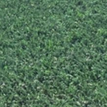 JooLucasBR2's profile picture. 