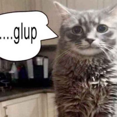 _SurroundSN's profile picture. - 𝗦𝗧𝗔𝗧𝗨𝗦 : 𝓒𝓵𝓸𝓼𝓮𝓭 🔇 -