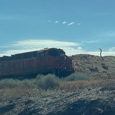 Majinootaku's profile picture. 