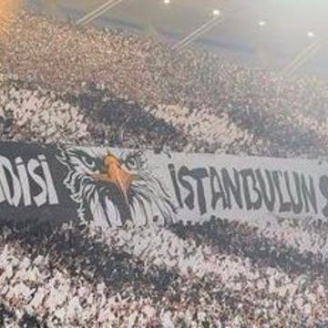 orhan847008's profile picture. 