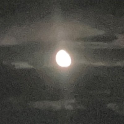 itsmaybelevi's profile picture. i dont let people in, i never post, this account is merely to view and save.