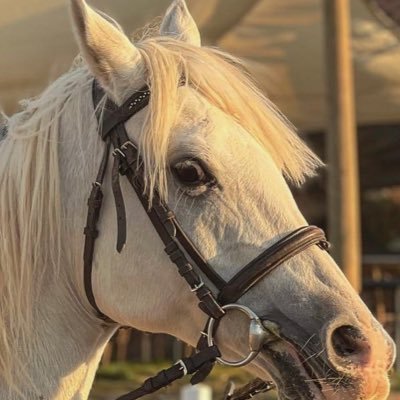 thedunyafani's profile picture. 