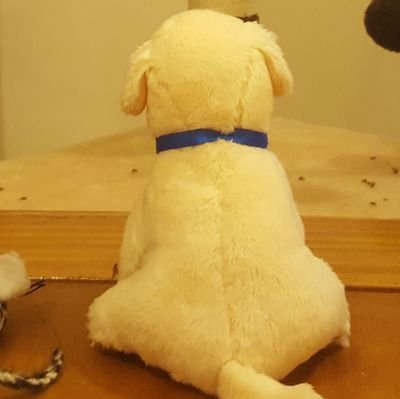 PUSB1898's profile picture. All my views are dull.