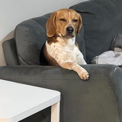 UnapologeticGem's profile picture. 