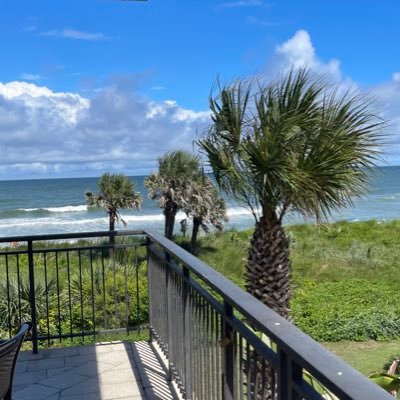 Sue8779307's profile picture. 