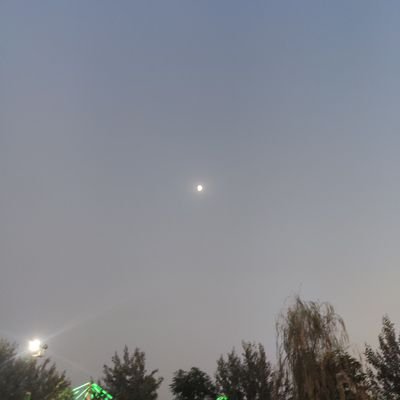 emirhandemir172's profile picture. 